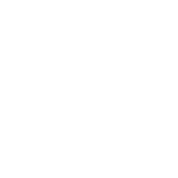 THE ORDINARY MILLIONAIRE
